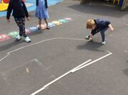 IMG 6742