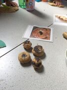 IMG 7154